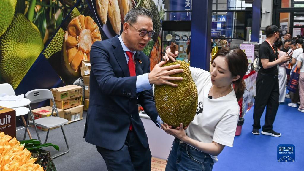 凤凰平台注册开户